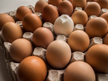 yumurta karton bir tepsi, bir çatlak farklıdır