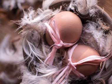 Tüyler yuvadaki yumurta.