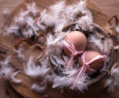 Tüyler yuvadaki yumurta.