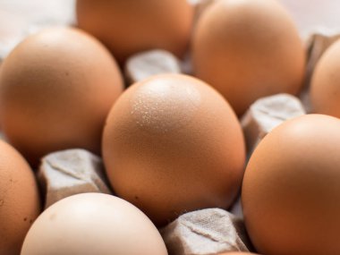 yumurta karton hücrelerdeki. yakın çekim.