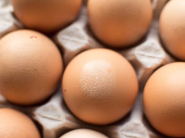 yumurta karton hücrelerdeki. yakın çekim.