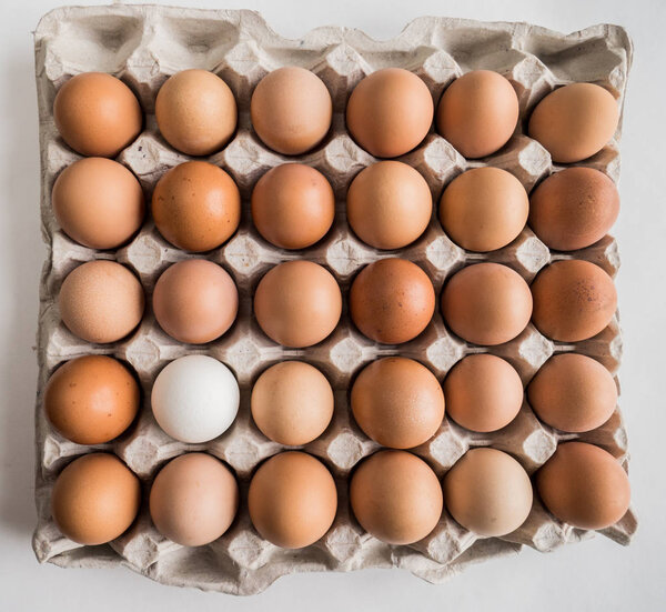 one white egg among brown in the tray.