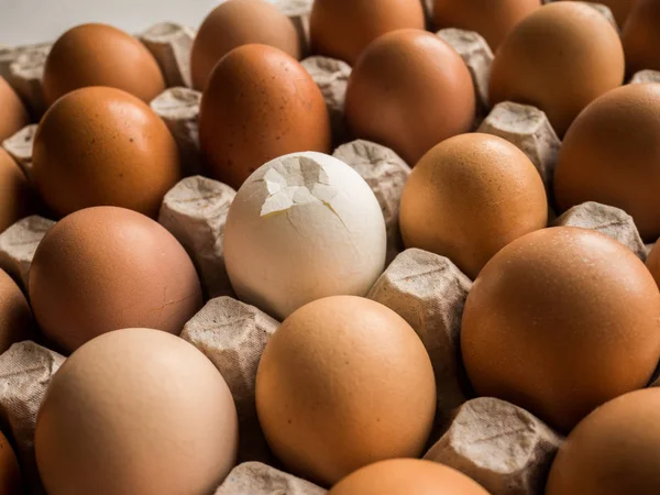 Huevos en una bandeja de cartón, una grieta es diferente — Foto de Stock