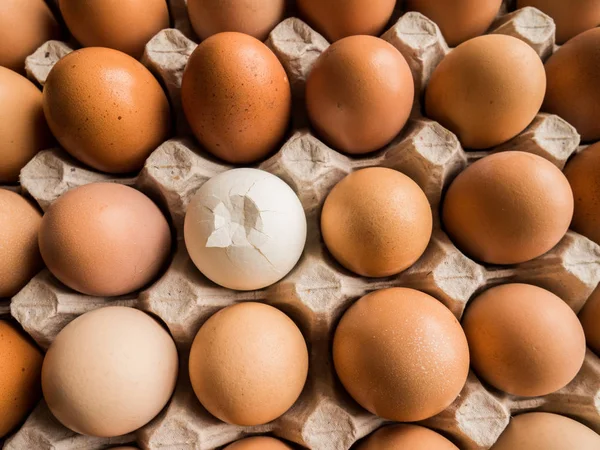 Huevos en una bandeja de cartón, una grieta es diferente — Foto de Stock