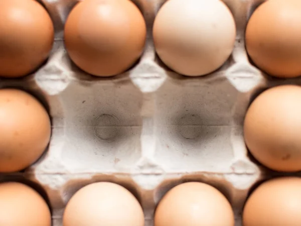 Huevos en celdas, cerca de lugares vacíos . — Foto de Stock