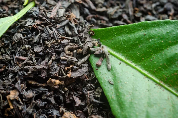 Chá Preto Folhas Chá Secas Soltas Com Folhas Verdes — Fotografia de Stock