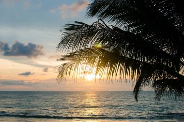Seyşeller sahilde günbatımı, deniz güzel gündoğumu