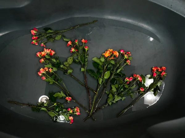 Orangene Rosen in der Badewanne, romantisches Konzept — Stockfoto