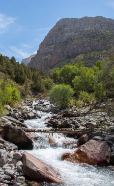 bir dağ nehir akışı