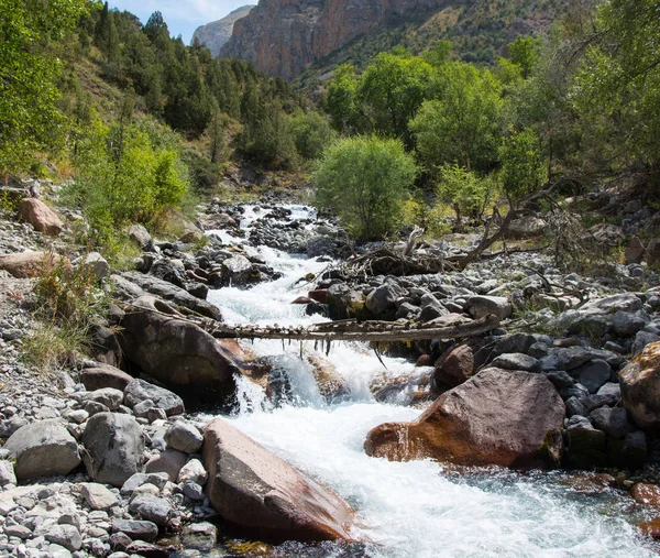 Stream of a mountain river Royalty Free Stock Images