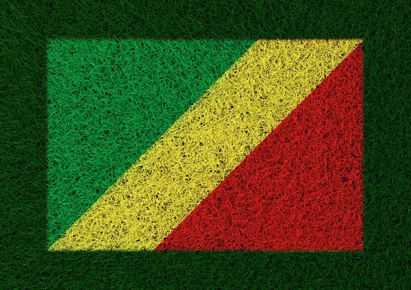 Texture Herbe Drapeau Congo — Photo