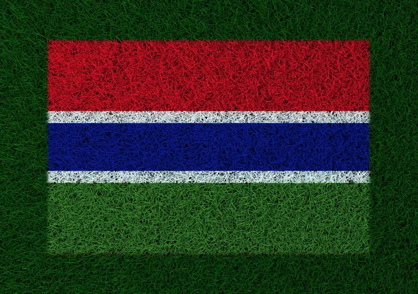 ガンビアの草のテクスチャの旗 — ストック写真