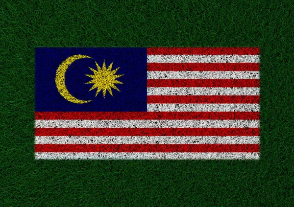 Flagga Malaysia Gräs Textur — Stockfoto