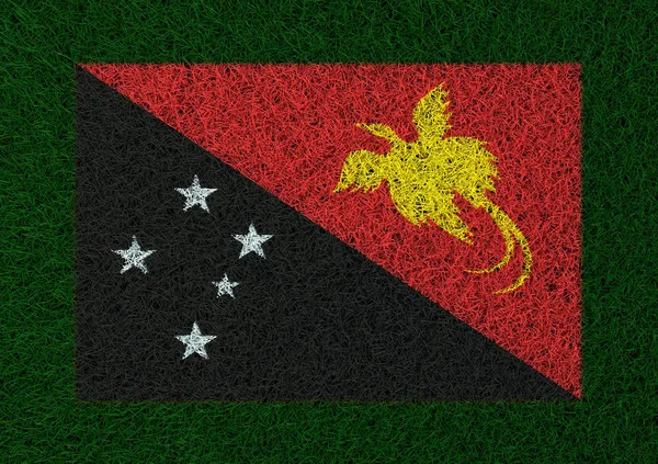 Drapeau Papouasie Nouvelle Guinée Texture Herbe — Photo