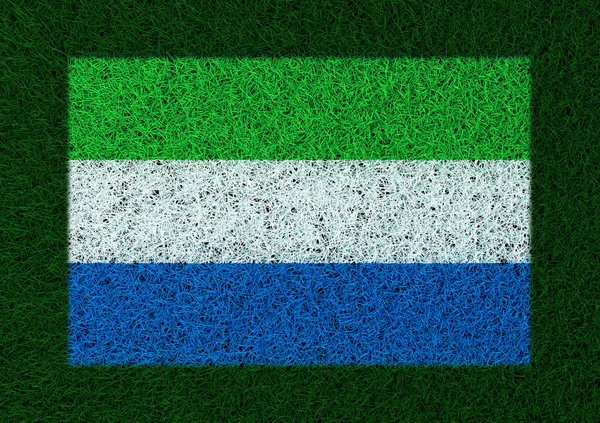 シエラ レオーネ草のテクスチャの旗 — ストック写真