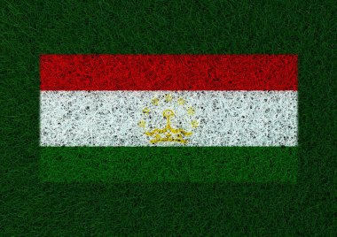 Tacikistan çim doku bayrağı