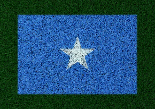 Drapeau Somalie Texture Herbe — Photo