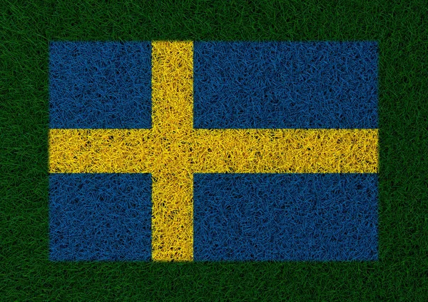 Vlag Van Zweden Gras Textuur — Stockfoto
