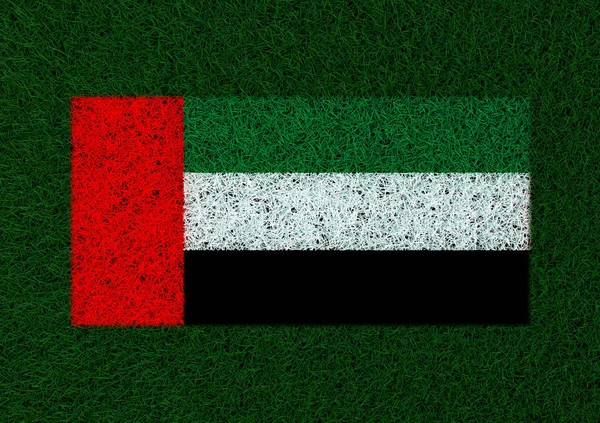 Bandiera Emirati Arabi Uniti Erba Texture — Foto Stock