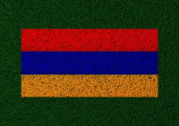 Drapeau Arménie Texture Herbe — Photo