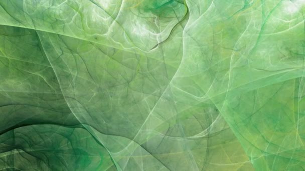 Groene Lijnen Abstracte Fractal Achtergrond Volledige Video — Stockvideo