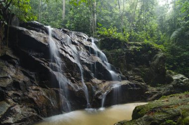 bulanık ve seçici odak resim yeşil orman güneş ışığı etkisi ile