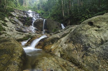 su akışı ve yeşil orman tarafından çevrili güzel şelale 