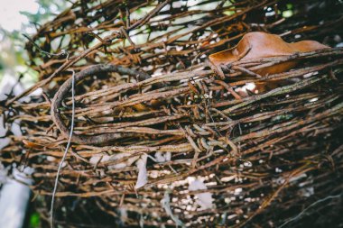 Eski ve paslı vurdu dikenli wire.selective odak haddelenmiş