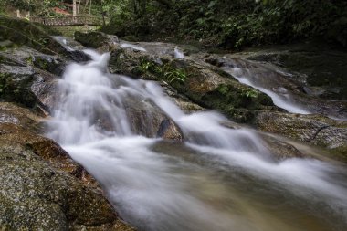 Güzel doğa, yeşil doğa ile çevrili tropikal Nehri akış
