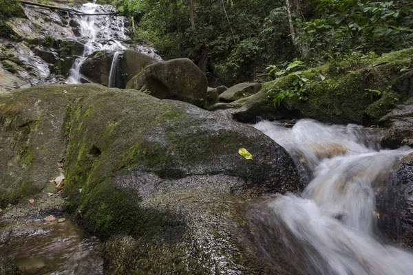 Tropik şelale güzel yeşil ormanın içinden akan inanılmaz sahne