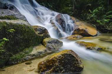 doğada, basamaklı tropik şelale inanılmaz güzel. ıslak ve yosunlu rock