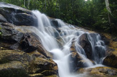 şaşırtıcı basamaklı tropik şelale. ıslak ve yosunlu rock, yeşil yağmur ormanıyla çevrili