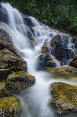 şaşırtıcı basamaklı tropik şelale. ıslak ve yosunlu rock, yeşil yağmur ormanıyla çevrili