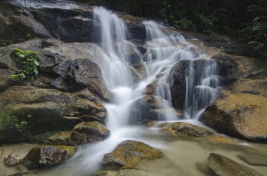 şaşırtıcı basamaklı tropik şelale. ıslak ve yosunlu rock, yeşil yağmur ormanıyla çevrili