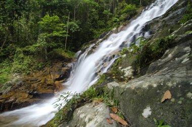 şaşırtıcı basamaklı tropik şelale akışı. ıslak ve yosunlu rock, yeşil yağmur ormanıyla çevrili