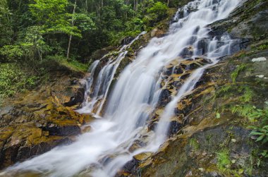 şaşırtıcı basamaklı tropik şelale akışı. ıslak ve yosunlu rock, yeşil yağmur ormanıyla çevrili
