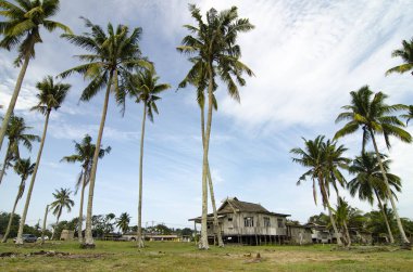 Terengganu, Malezya'da bulunan güzel köy sahne. 