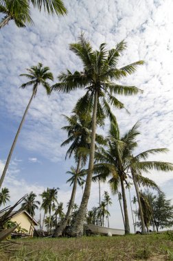 Terengganu, Malezya'da bulunan güzel köy sahne. 