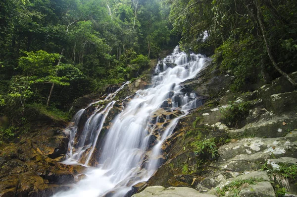 Increíble cascada tropical en cascada. roca húmeda y musgosa, rodeada de selva verde — Foto de Stock
