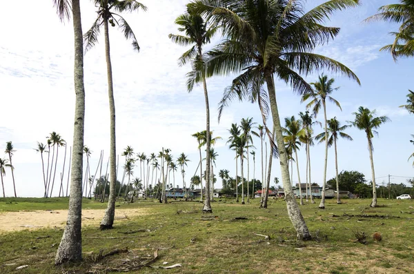 Hermoso paisaje del pueblo situado en Terengganu, Malasia . — Foto de Stock