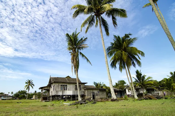 Paysage de village situé à Terengganu, Malaisie. Entouré de cocotier, ciel nuageux et herbe verte — Photo