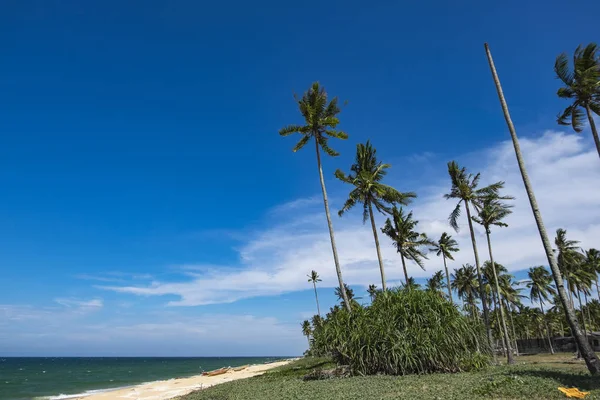 Beautiful tropical sea view under bright sunny day, sandy beach, boat, coconut tree and blue sky background — стоковое фото