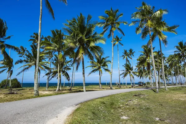 Hermoso pueblo en Terengganu, Malasia, cerca de la playa rodeado de cocoteros bajo el sol brillante en el día soleado — Foto de Stock