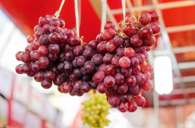 Demet taze pazar ahır üzüm ekran