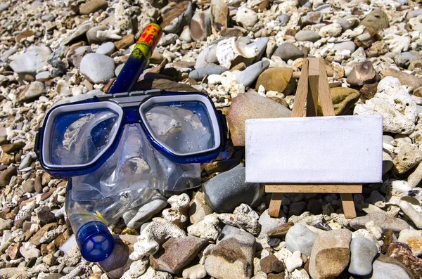 Голубые гуги для сноркелинга или купания и белые каноэ для туристических мероприятий на пляже в солнечный день — стоковое фото