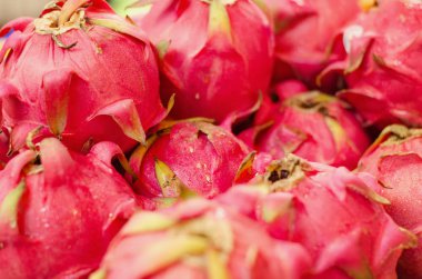 Egzotik tropik meyve, pazarda satmak için dragon meyve görüntülemek.