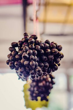 Demet taze pazar ahır üzüm ekran.