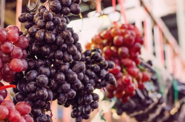 Taze üzüm çeşitli görüntüleme piyasasında