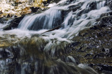 güzel doğa, basamaklı tropikal Nehri üzerinden ıslak taşın güneşli gün akan