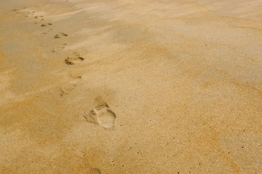 Ayak kumlu plaj arka planda yazdırma